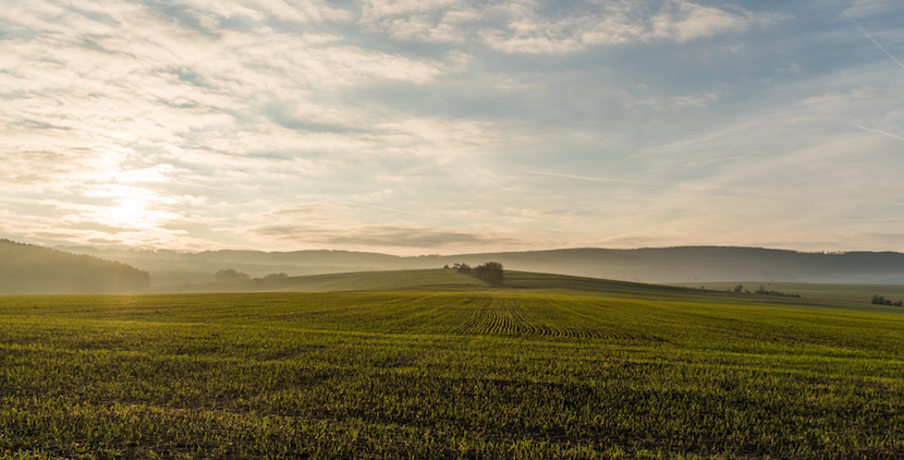 illustration de l'actualité : La semaine européenne du développement durable